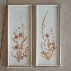Framed Botanical Art Set